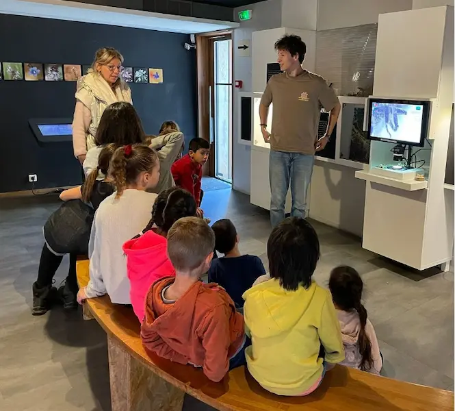 musée de la forêt, écologie, ateliers éducatifs