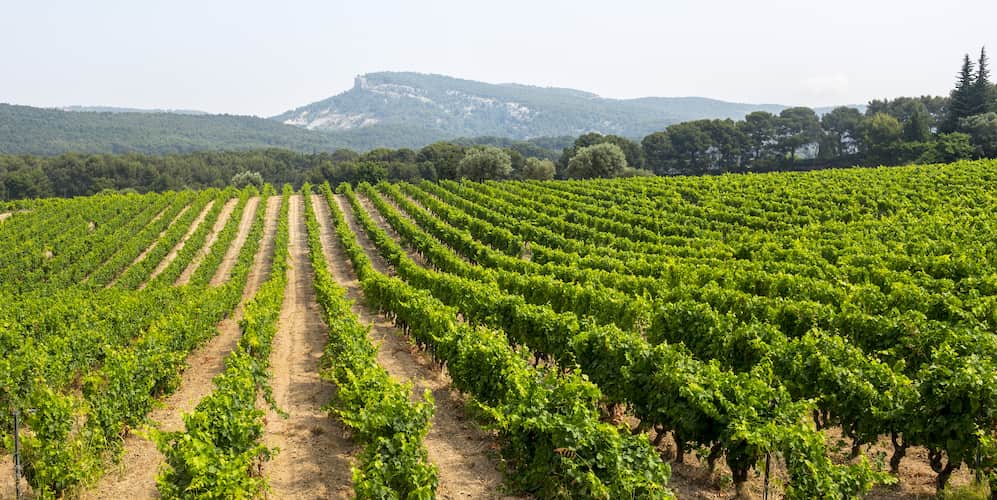 vignobles marseille